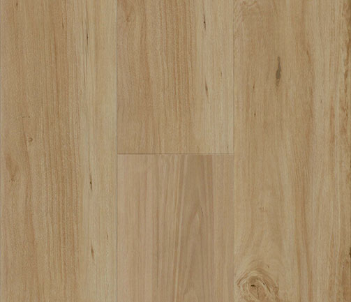 Penguin Hybrid Blackbutt PG1802