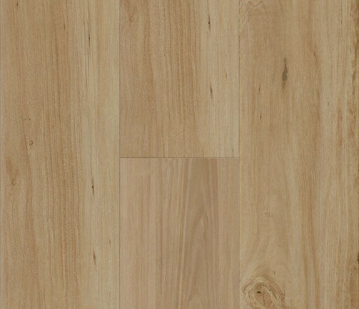 Penguin Hybrid Blackbutt PG1802