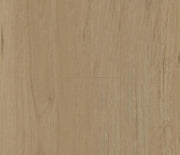 Penguin Hybrid Coastal Blackbutt PG1502