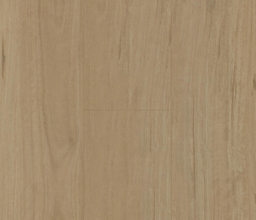 Penguin Hybrid Coastal Blackbutt PG1502