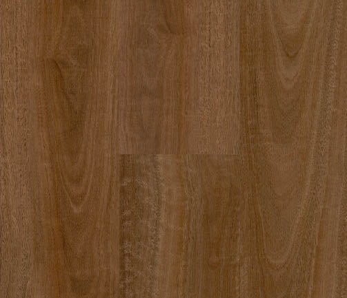 Penguin Hybrid Spotted Gum PG1801